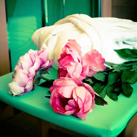 Terminus מלון דירות רימיני